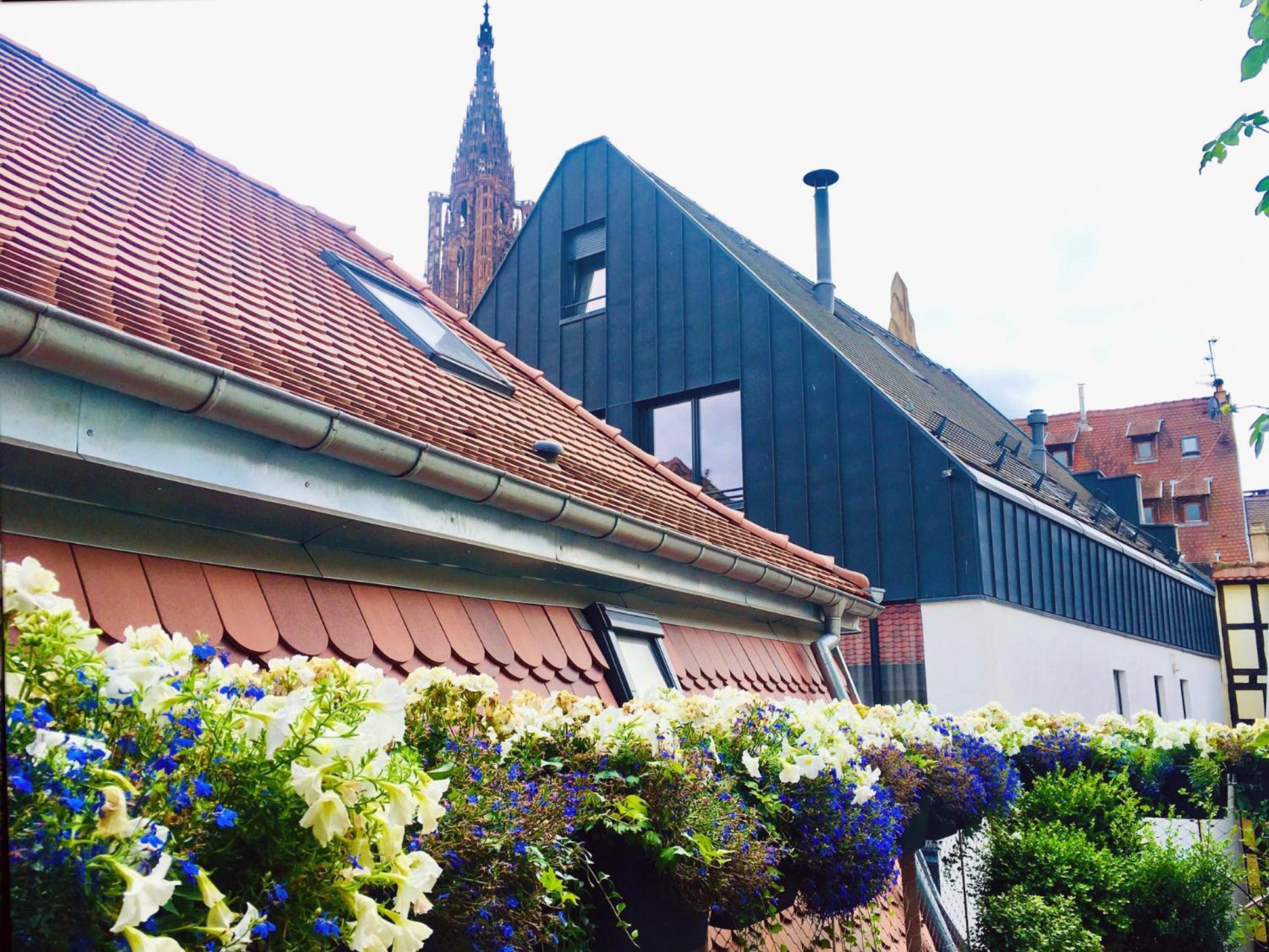 Le Carre D Or Appartement Terrasse Vue Cathedrale Strasbourg Extérieur photo